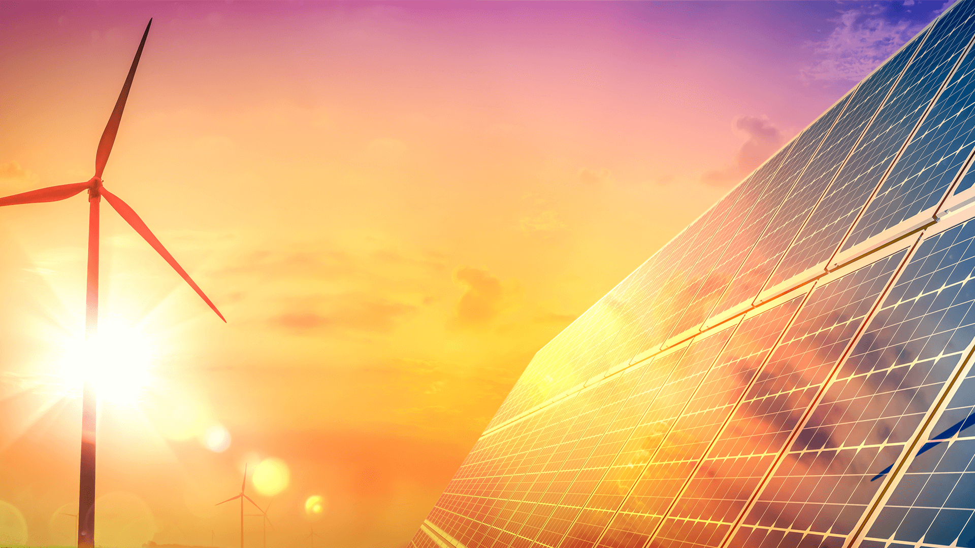Transforming Human Resources Operations for a Global Solar Panel Manufacturer
