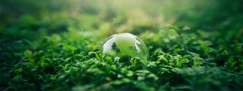 The Hidden ESG Compliance Cost: It’s Not the Fines, It’s the Friction